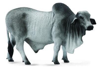 COLLECTA BRAHMAN BULL GREY