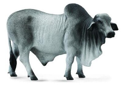 COLLECTA BRAHMAN BULL GREY