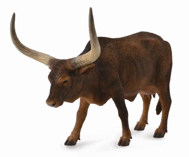 COLLECTA ANKOLE WATUSI COW