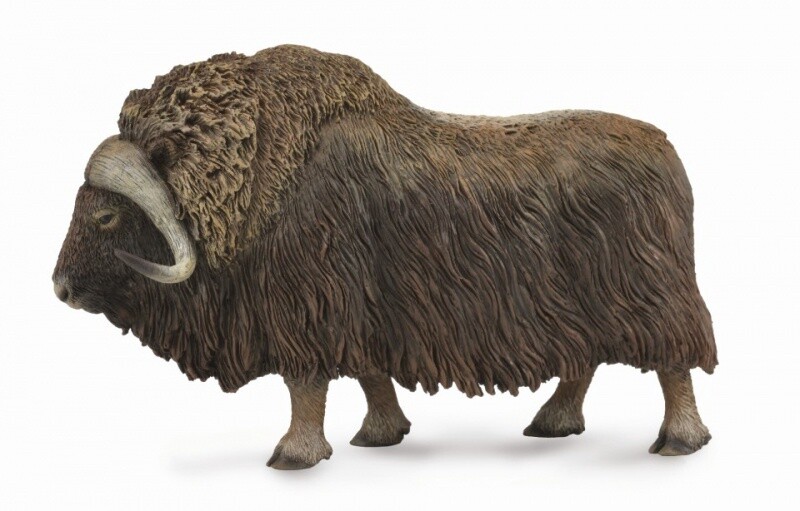 COLLECTA MUSK OX