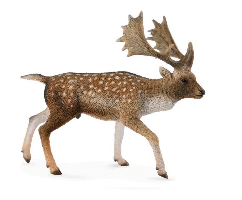 COLLECTA FALLOW DEER MALE