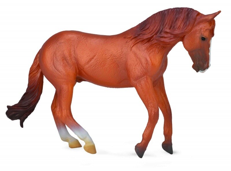 COLLECTA AUSTRALIAN STOCK HORSE STALLION C-NUT