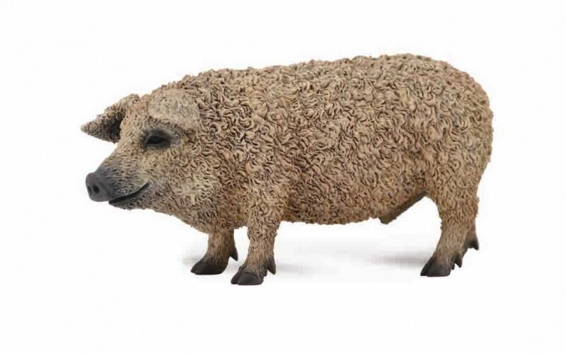 COLLECTA HUNGARIAN PIG