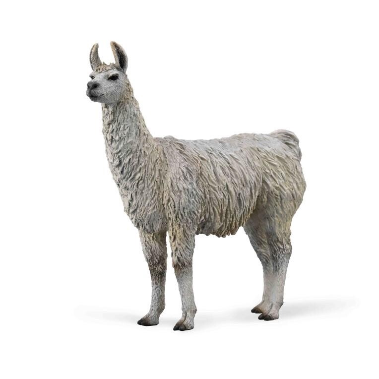 COLLECTA LLAMA
