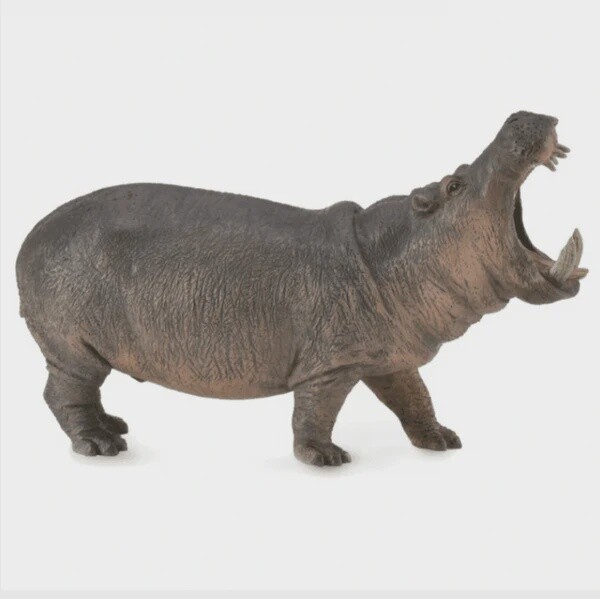 COLLECTA HIPPOPOTAMUS