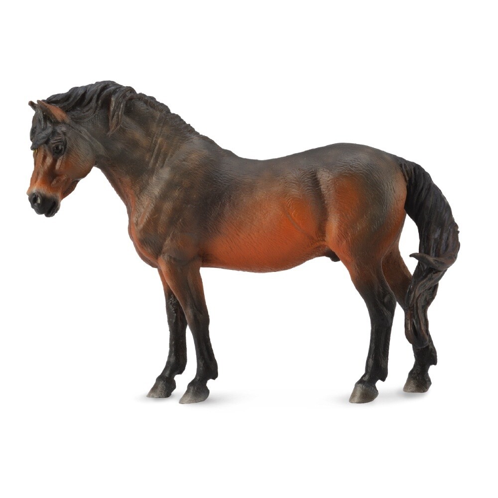 COLLECTA DARTMOOR PONY BAY