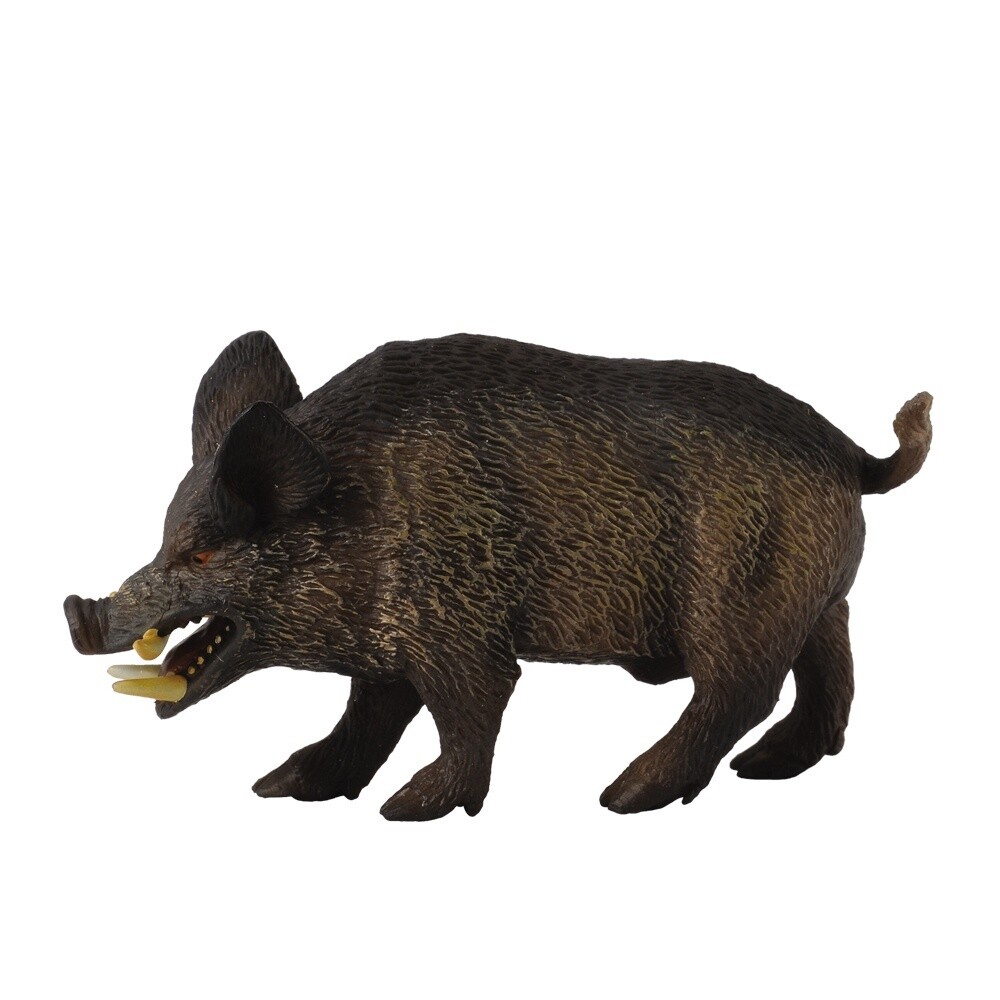 COLLECTA WILD BOAR