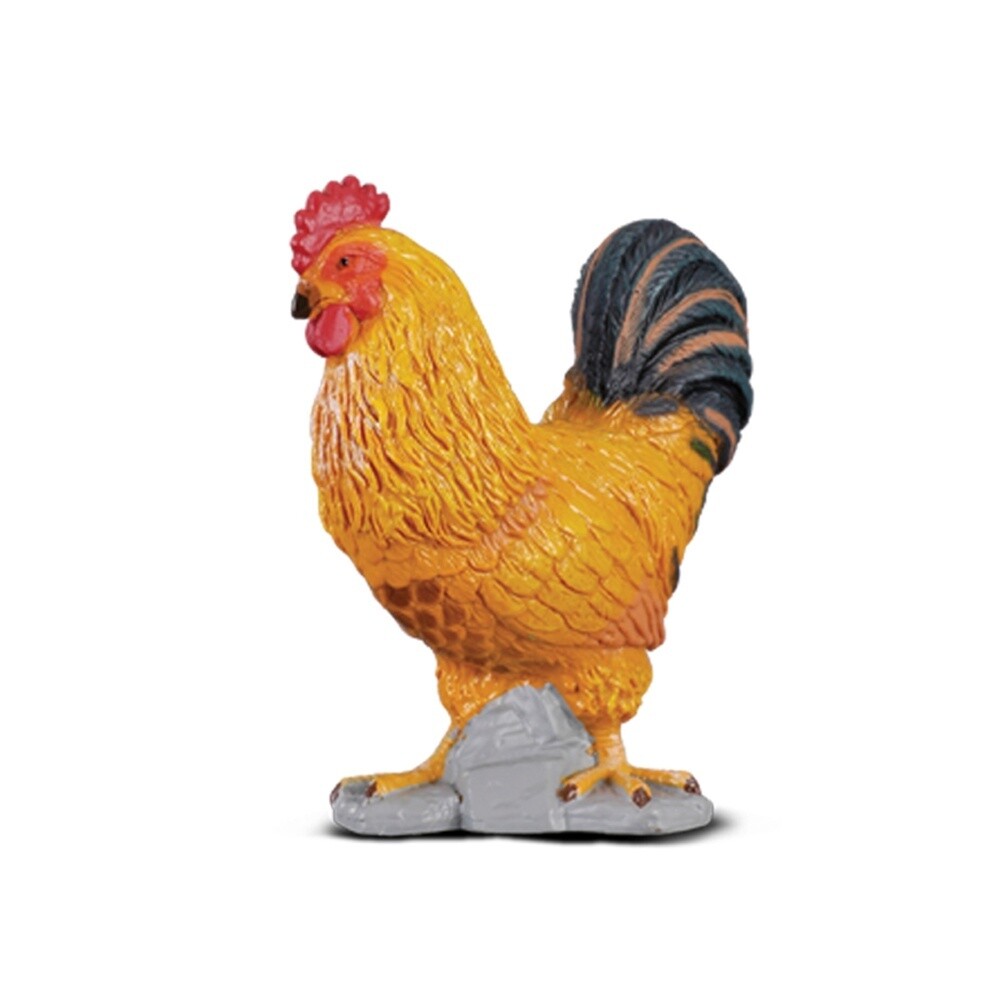 COLLECTA COCKEREL