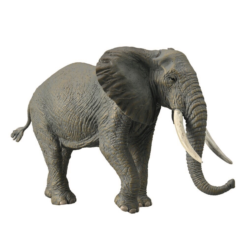 COLLECTA AFRICAN ELEPHANT