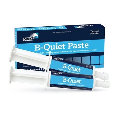 KER B-QUIET PASTE