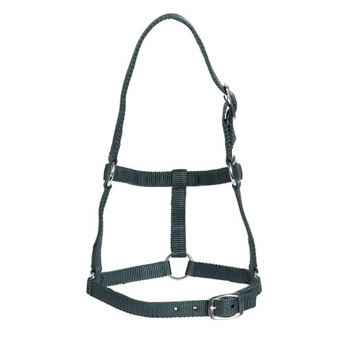 RANCHER ECONOMY FOAL HALTER