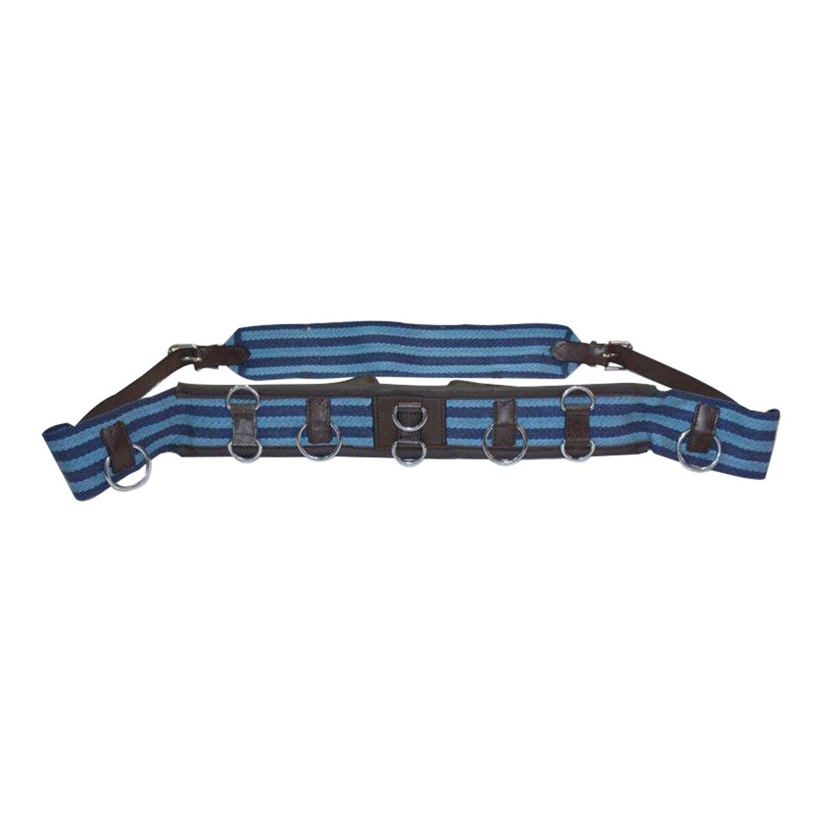 EUREKA LUNGE ROLLER