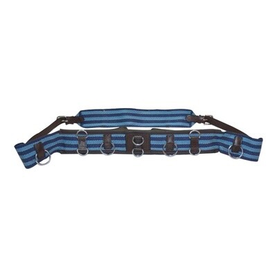 EUREKA LUNGE ROLLER