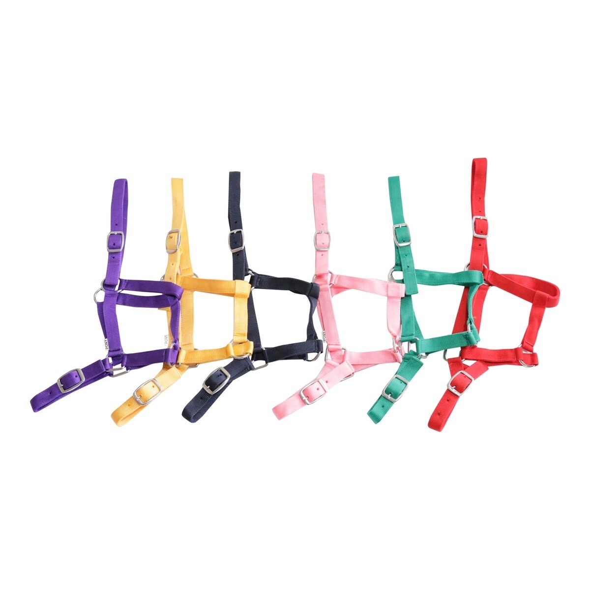 EUREKA BUCKLE HALTER