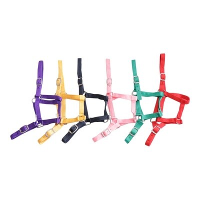 EUREKA BUCKLE HALTER
