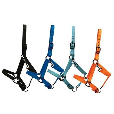 RANCHER HALTER W/BLACK DETAIL