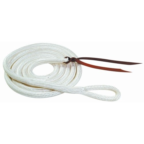 HORSEMANSHIP TRAINING LEAD NO SNAPHOOK
