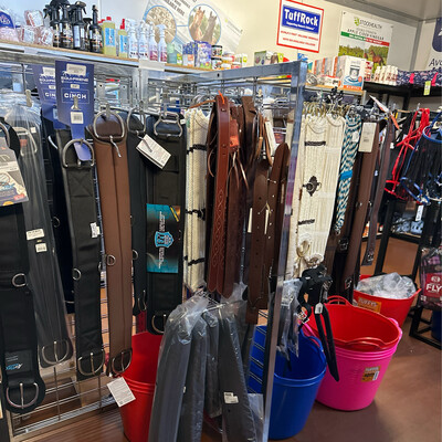 Girths &amp; Accessories