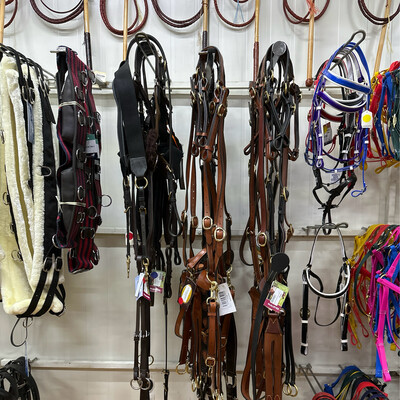 Breast Plate &amp; Martingales