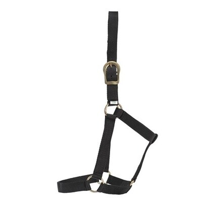 GG STABLE HALTER