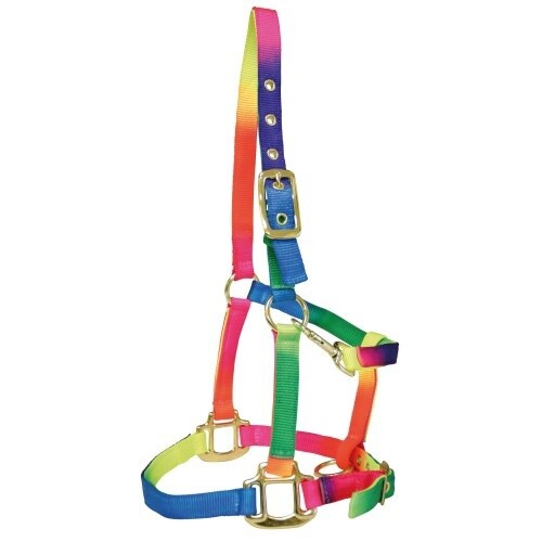 BAMBINO NYLON RAINBOW HALTER