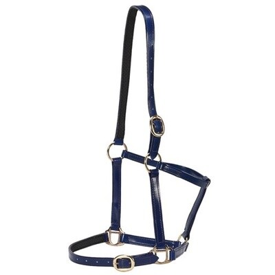 HORSE SENCE DESIGNER HALTER