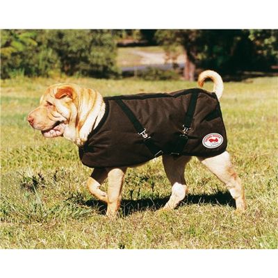 OILSKIN DOG COAT