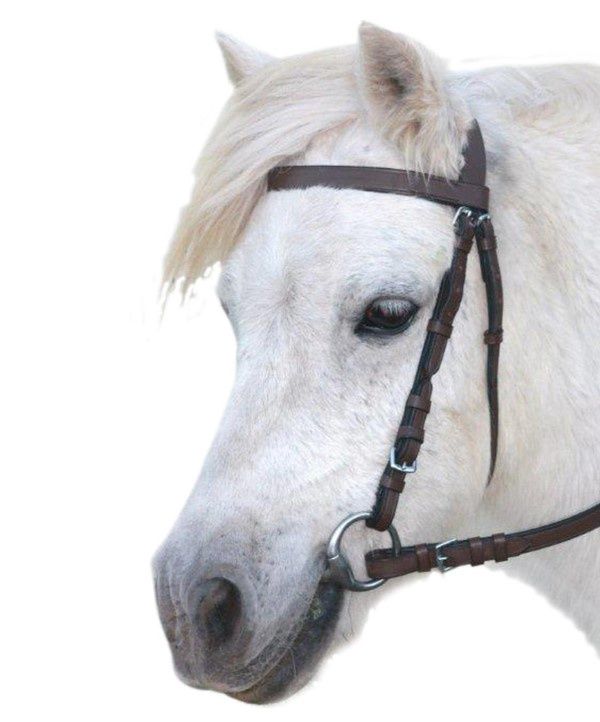 EUREKA PLAIN PONY SNAFFLE BRIDLE BLACK