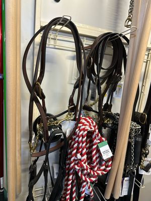 Halters &amp; Leads