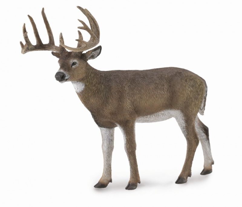 COLLECTA WHITE TAILED DEER
