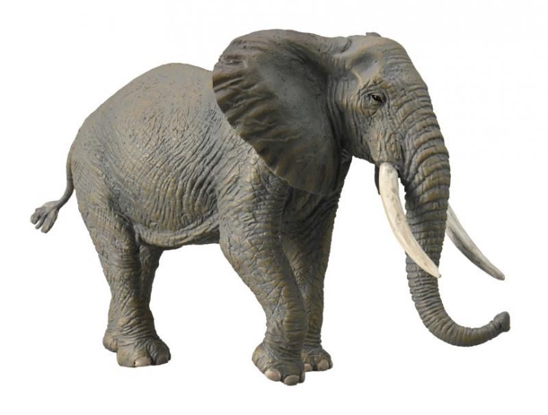 COLLECTA  AFRICAN ELEPHANT XL