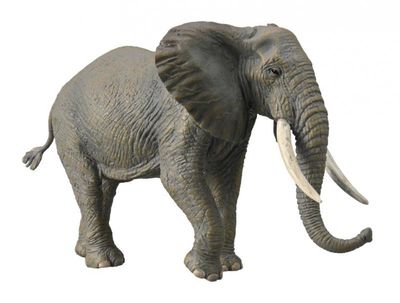 COLLECTA  AFRICAN ELEPHANT XL