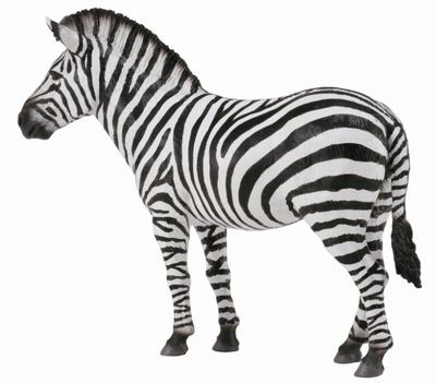 COLLECTA COMMON ZEBRA