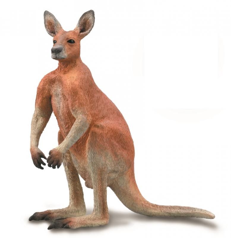 COLLECTA RED MALE KANGEROO LARGE