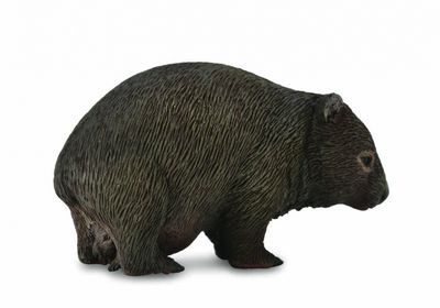COLLECTA  WOMBAT