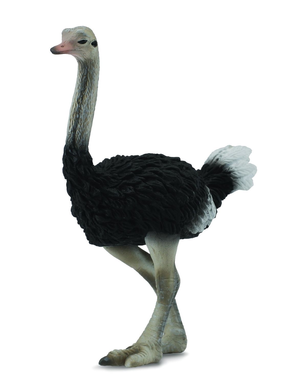 COLLECTA OSTRICH