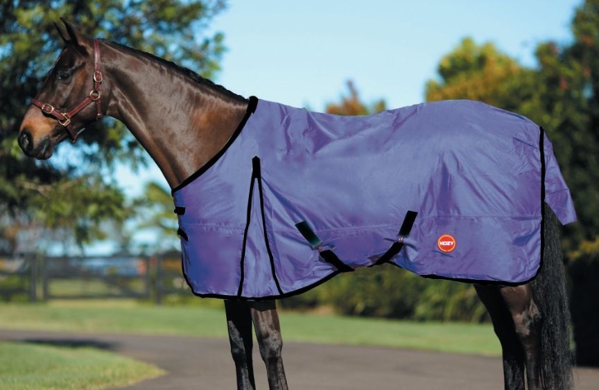 KOZY 600D NYLON RUG