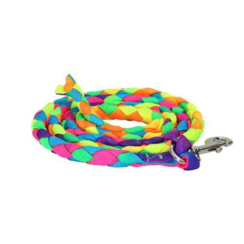 HAND BRAIDED RAINBOW LEAD ROPE