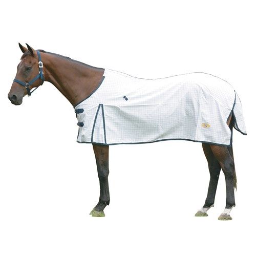 GG AUSTRALIA TEAR STOP HORSE RUG