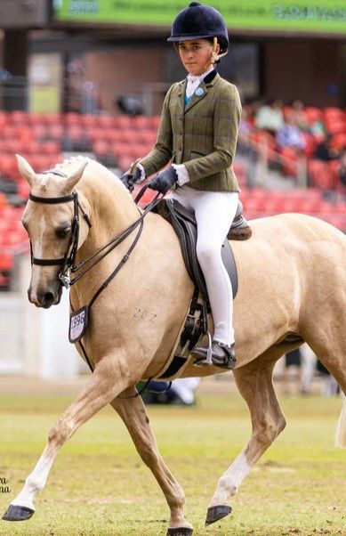 BARE EQUESTRIAN YOUTH COMPETITION TIGHTS VANILLA CREME