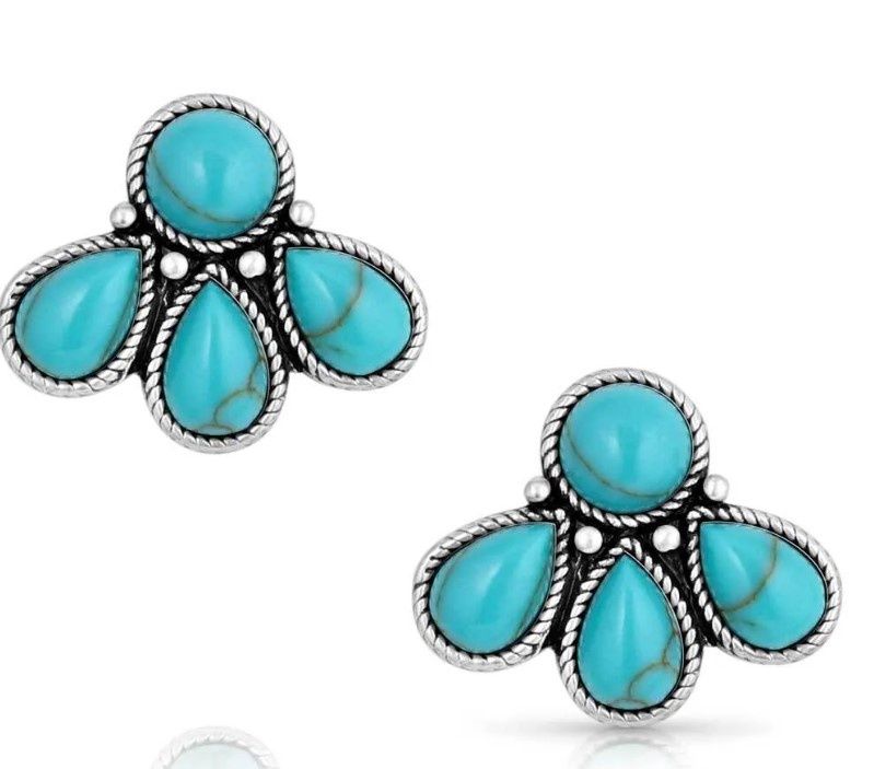 NATURES WONDER TURQUOISE EARRINGS