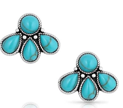 NATURES WONDER TURQUOISE EARRINGS