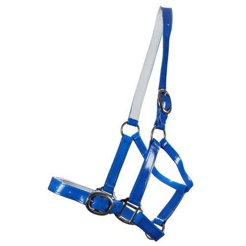 HORSE SENSE 25MM BUCKLE HALTER