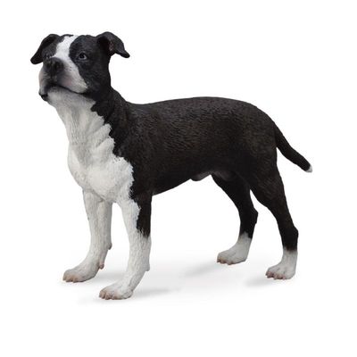 COLLECTA AMERICAN STAFFORDSHIRE TERRIER