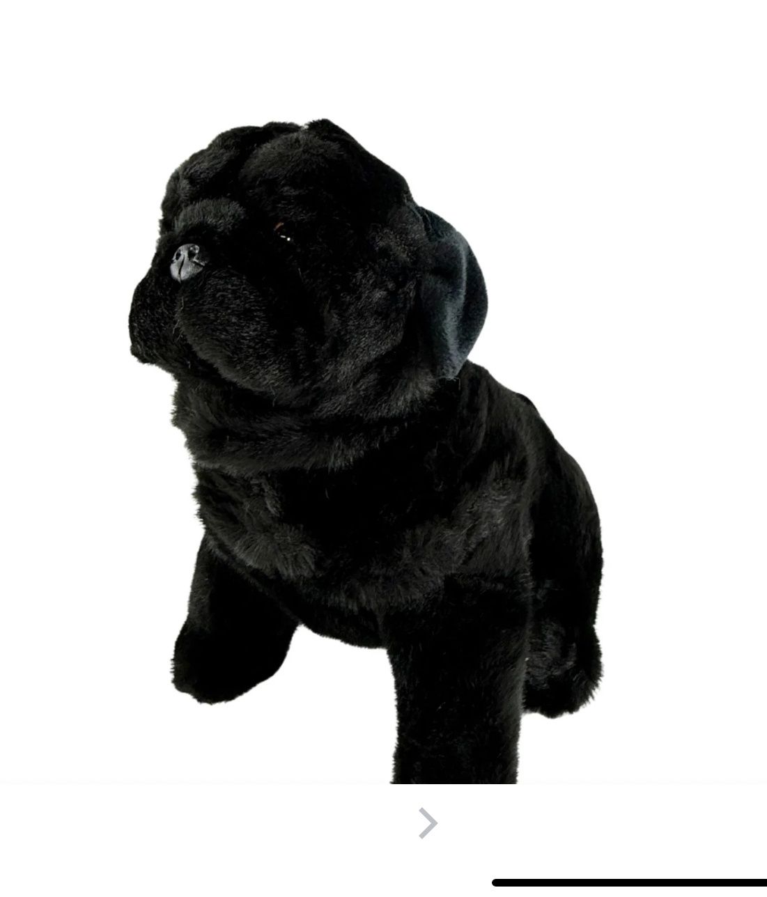 OREO BLACK PUG