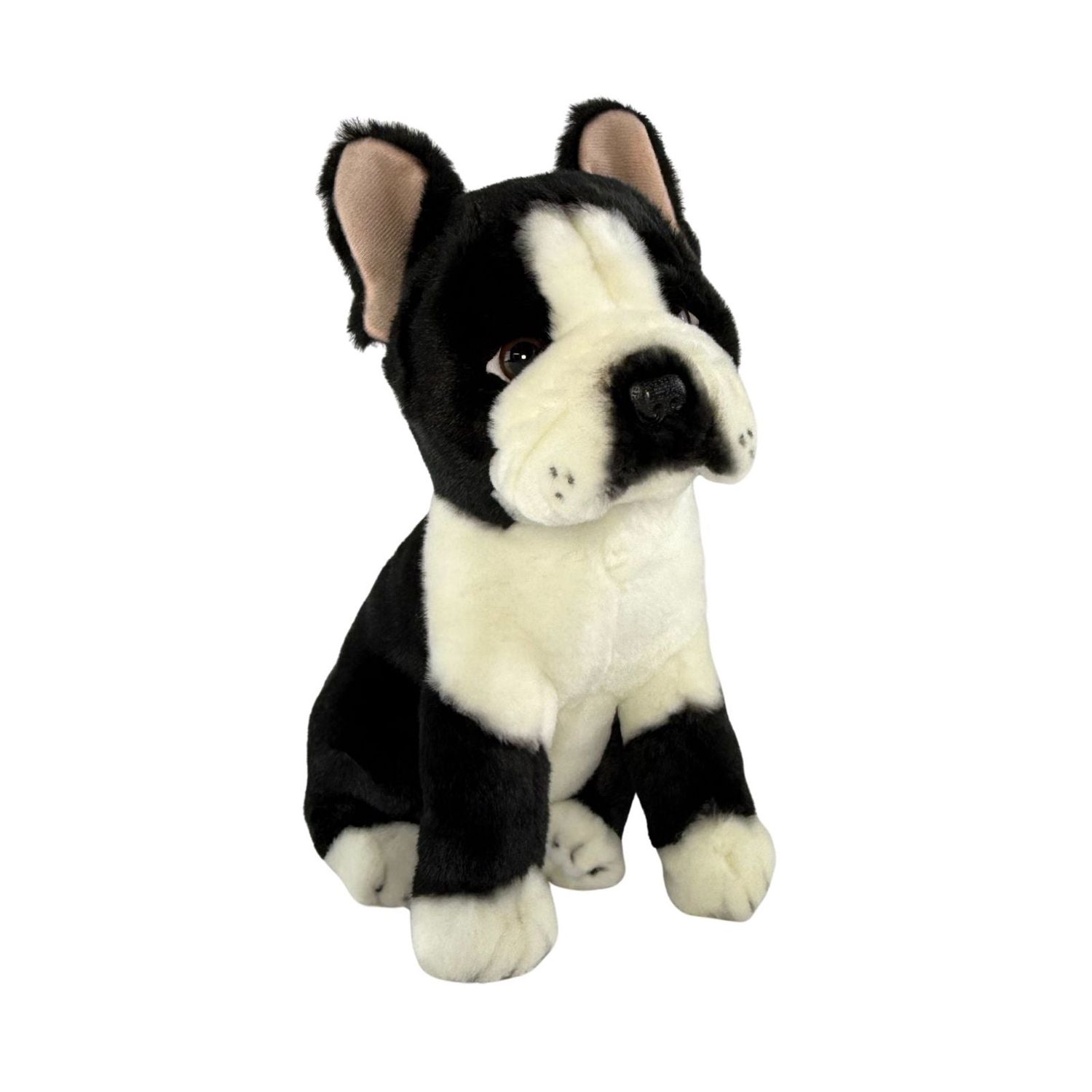 PIERRE FRENCH BULLDOG