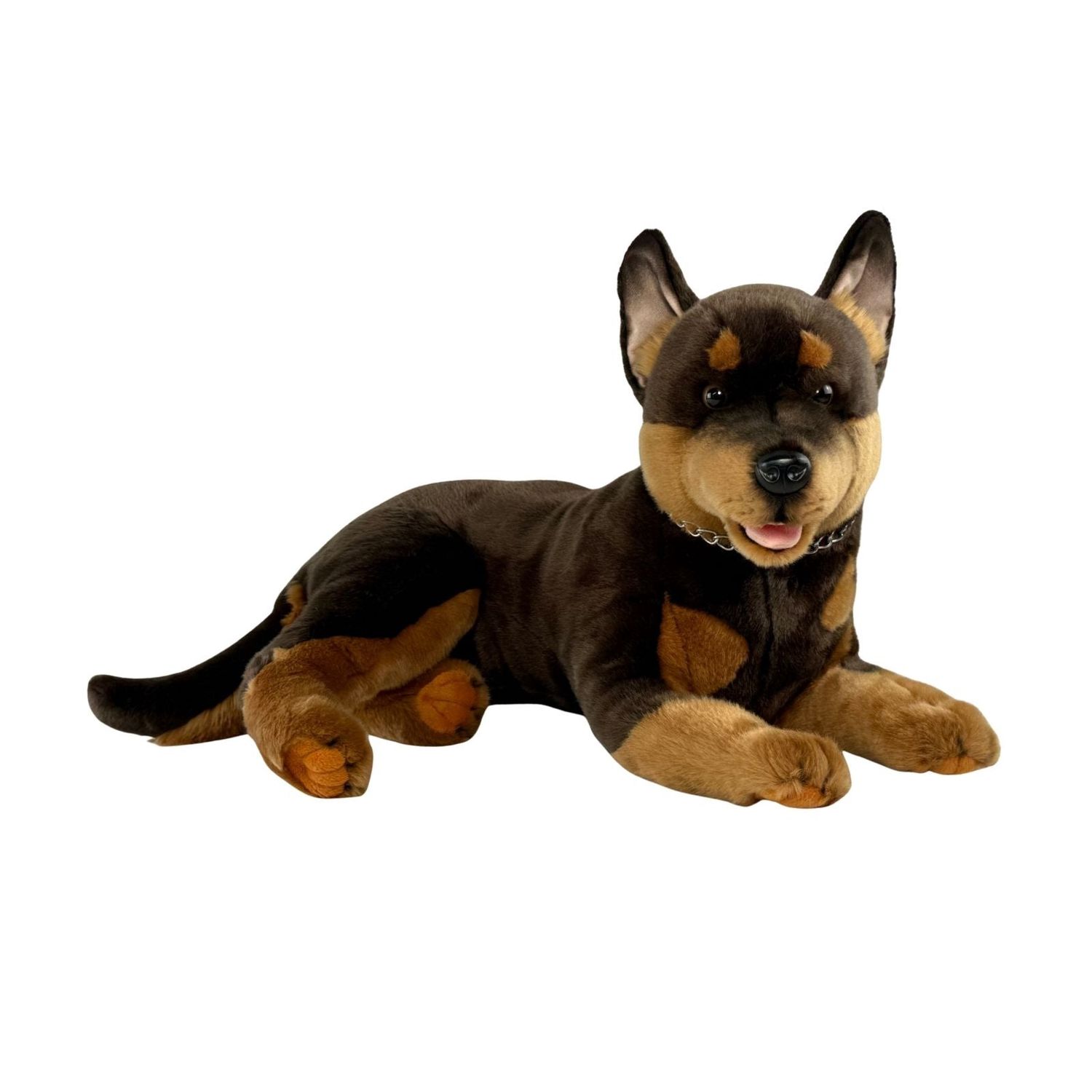DENVER KELPIE