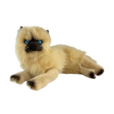 VIOLET HIMALAYAN