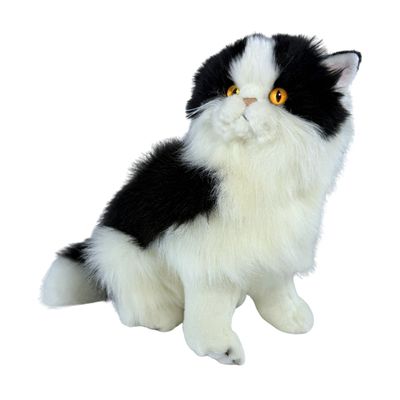 ANGUS PIEBALD CAT