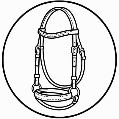 BRIDLES/REINS &amp; ACCESSORIES